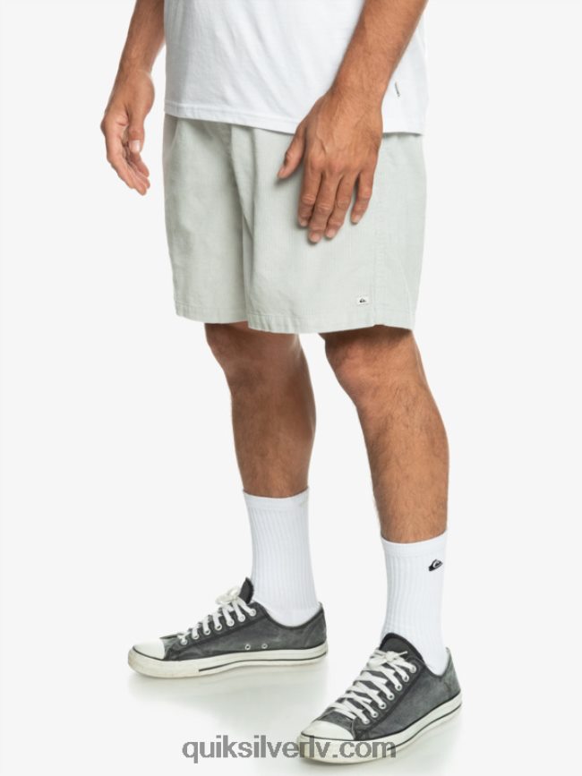 vīriešiem Quiksilver taksera auklas šorti pelēka violeta 88064R363