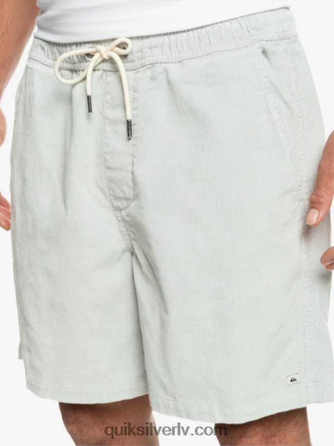 vīriešiem Quiksilver taksera auklas šorti pelēka violeta 88064R363