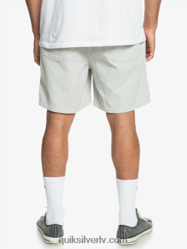 vīriešiem Quiksilver taksera auklas šorti pelēka violeta 88064R363