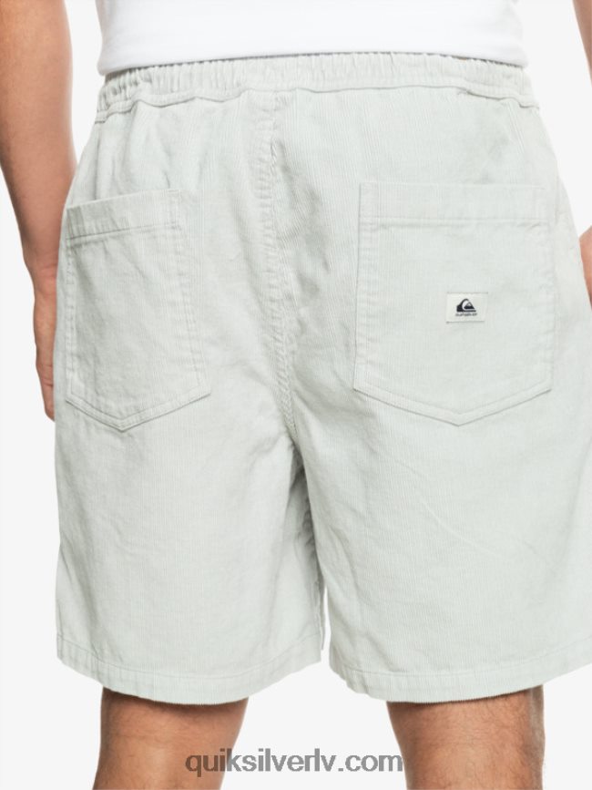 vīriešiem Quiksilver taksera auklas šorti pelēka violeta 88064R363