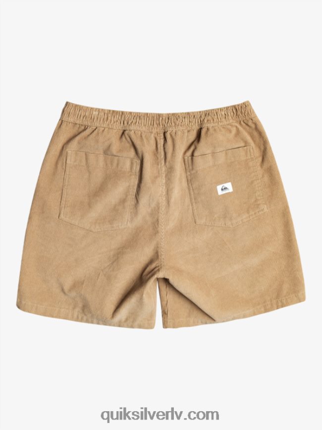 vīriešiem Quiksilver taksera auklas šorti plage 88064R359