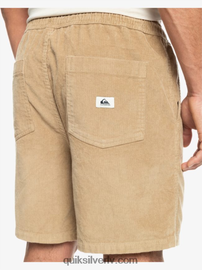 vīriešiem Quiksilver taksera auklas šorti plage 88064R359
