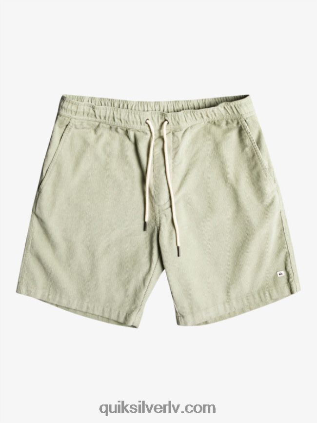 vīriešiem Quiksilver taksera auklas šorti tuksneša salvija 88064R365