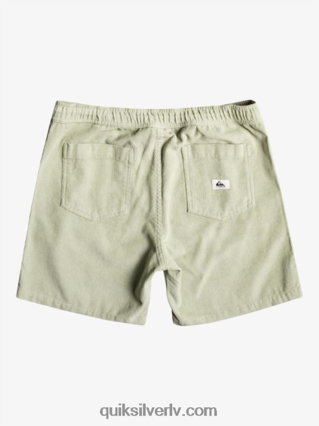 vīriešiem Quiksilver taksera auklas šorti tuksneša salvija 88064R365