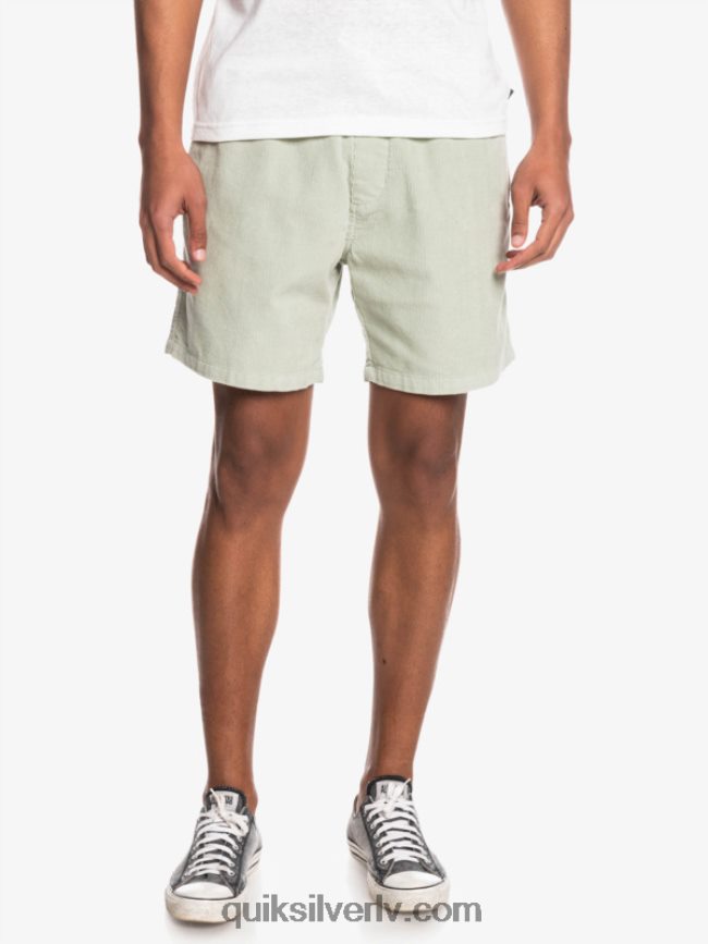 vīriešiem Quiksilver taksera auklas šorti tuksneša salvija 88064R365