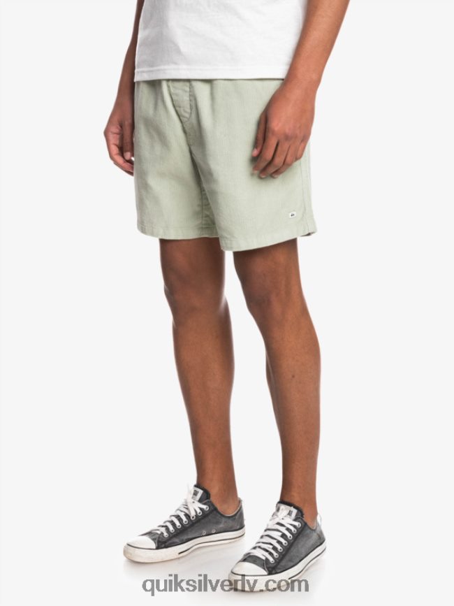 vīriešiem Quiksilver taksera auklas šorti tuksneša salvija 88064R365