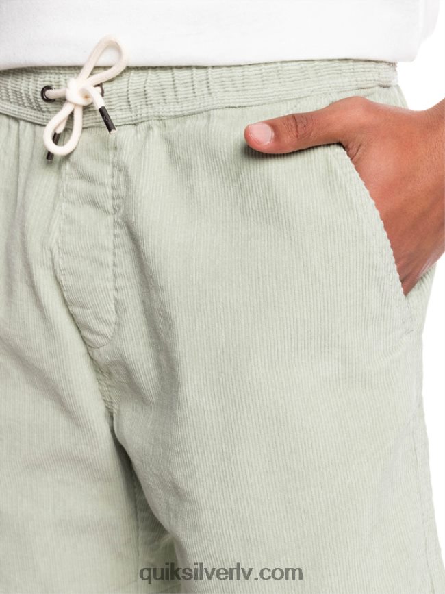 vīriešiem Quiksilver taksera auklas šorti tuksneša salvija 88064R365