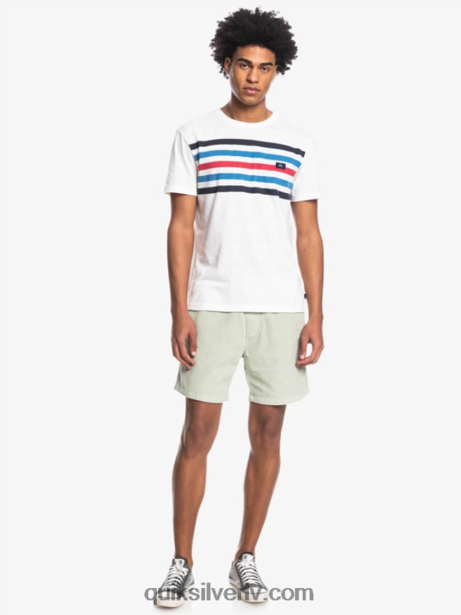 vīriešiem Quiksilver taksera auklas šorti tuksneša salvija 88064R365
