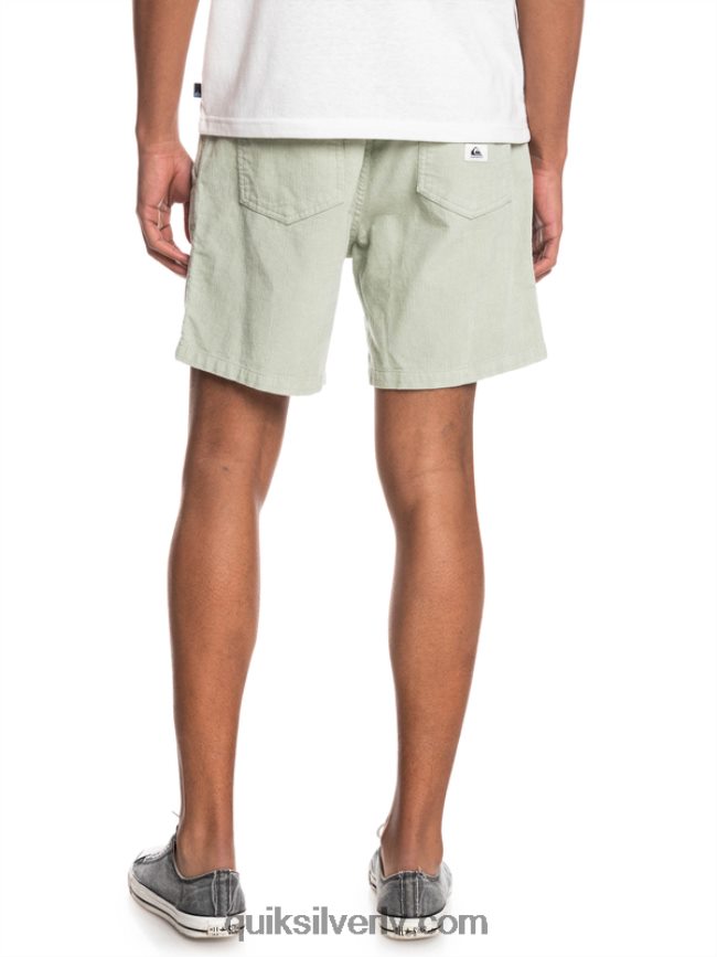 vīriešiem Quiksilver taksera auklas šorti tuksneša salvija 88064R365