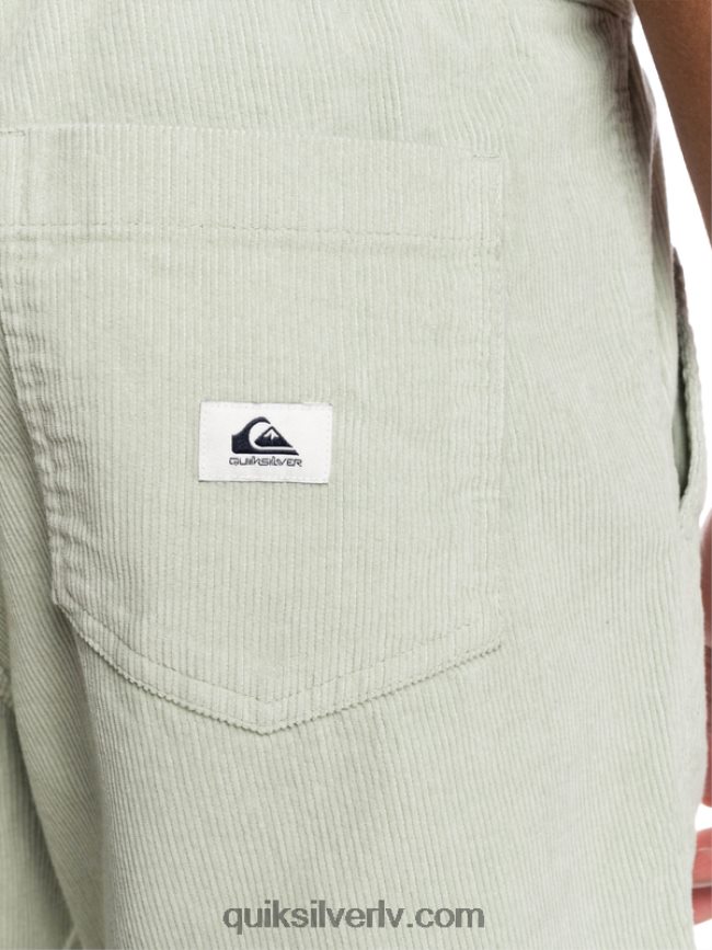 vīriešiem Quiksilver taksera auklas šorti tuksneša salvija 88064R365