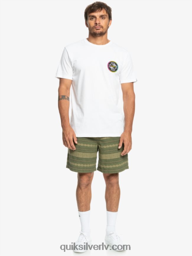 vīriešiem Quiksilver takseru žakarda šorti četru lapu āboliņa takseris žakars 88064R422