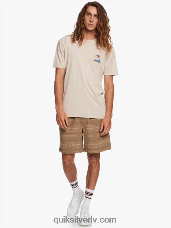 vīriešiem Quiksilver takseru žakarda šorti olīvu pelēks mini žakards 88064R421