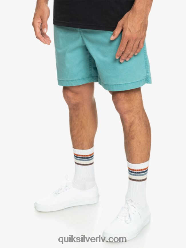 vīriešiem Quiksilver takseru elastīgie šorti Bretaņas zilā 88064R325