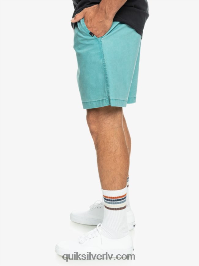 vīriešiem Quiksilver takseru elastīgie šorti Bretaņas zilā 88064R325