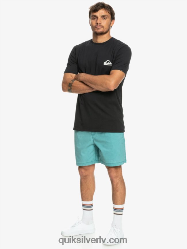 vīriešiem Quiksilver takseru elastīgie šorti Bretaņas zilā 88064R325