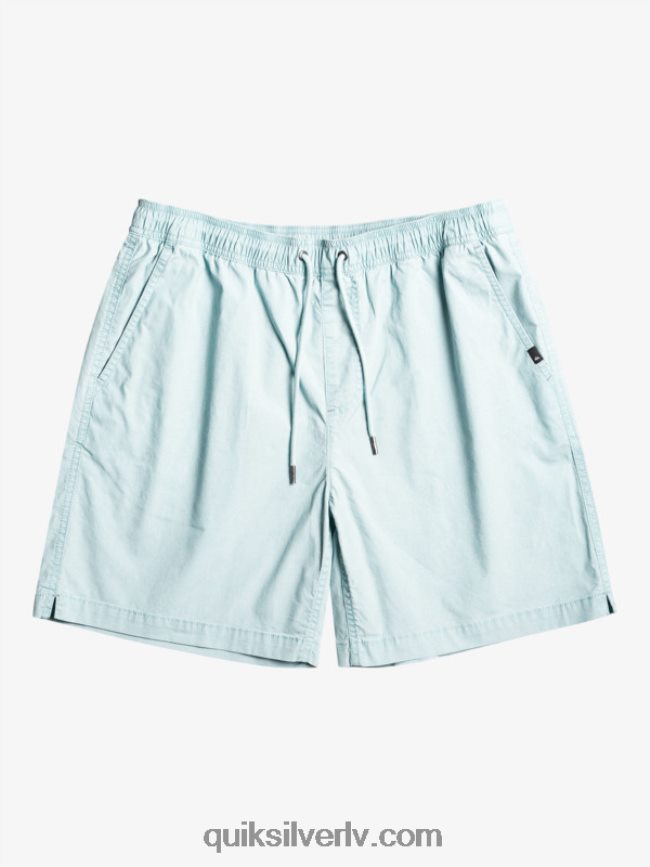 vīriešiem Quiksilver takseru elastīgie šorti debeszils 88064R324