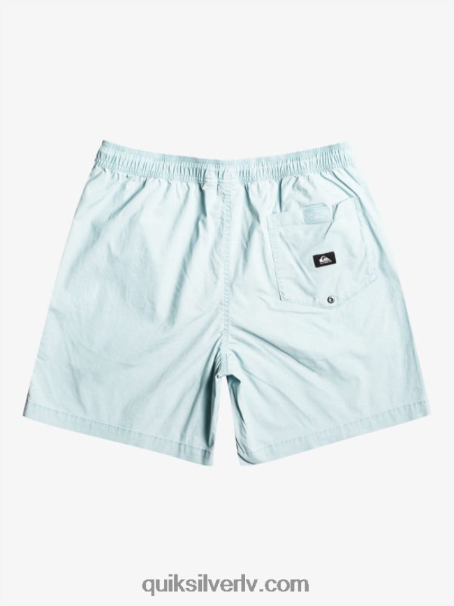 vīriešiem Quiksilver takseru elastīgie šorti debeszils 88064R324