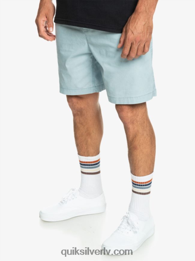 vīriešiem Quiksilver takseru elastīgie šorti debeszils 88064R324