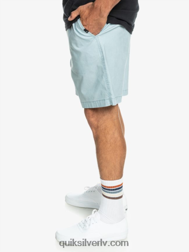 vīriešiem Quiksilver takseru elastīgie šorti debeszils 88064R324