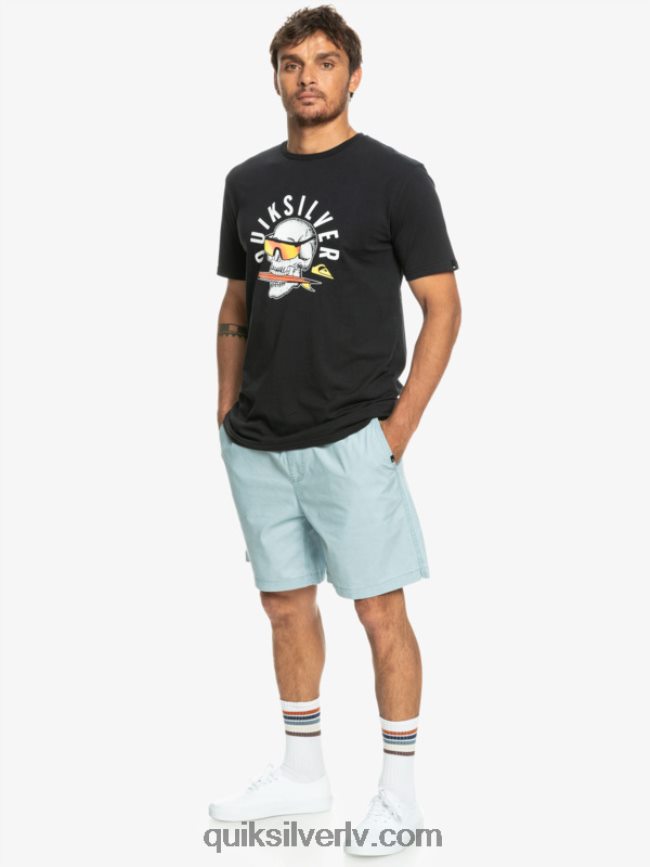 vīriešiem Quiksilver takseru elastīgie šorti debeszils 88064R324
