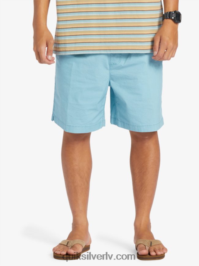 vīriešiem Quiksilver takseru elastīgie šorti kameja zils 88064R319