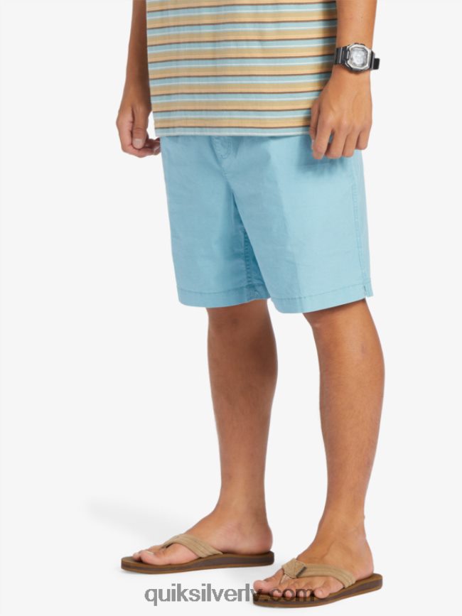 vīriešiem Quiksilver takseru elastīgie šorti kameja zils 88064R319
