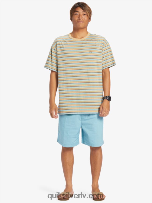 vīriešiem Quiksilver takseru elastīgie šorti kameja zils 88064R319