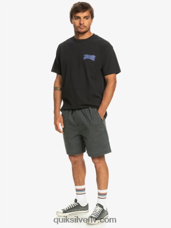 vīriešiem Quiksilver takseru elastīgie šorti melns 88064R321