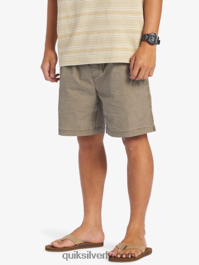 vīriešiem Quiksilver takseru elastīgie šorti Šokolādes gabaliņš 88064R322