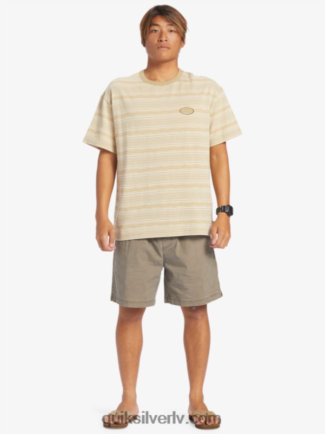 vīriešiem Quiksilver takseru elastīgie šorti Šokolādes gabaliņš 88064R322