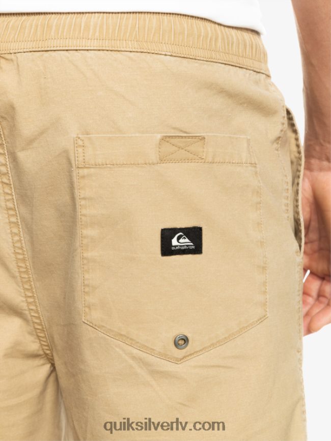 vīriešiem Quiksilver takseru elastīgie šorti plage 88064R320
