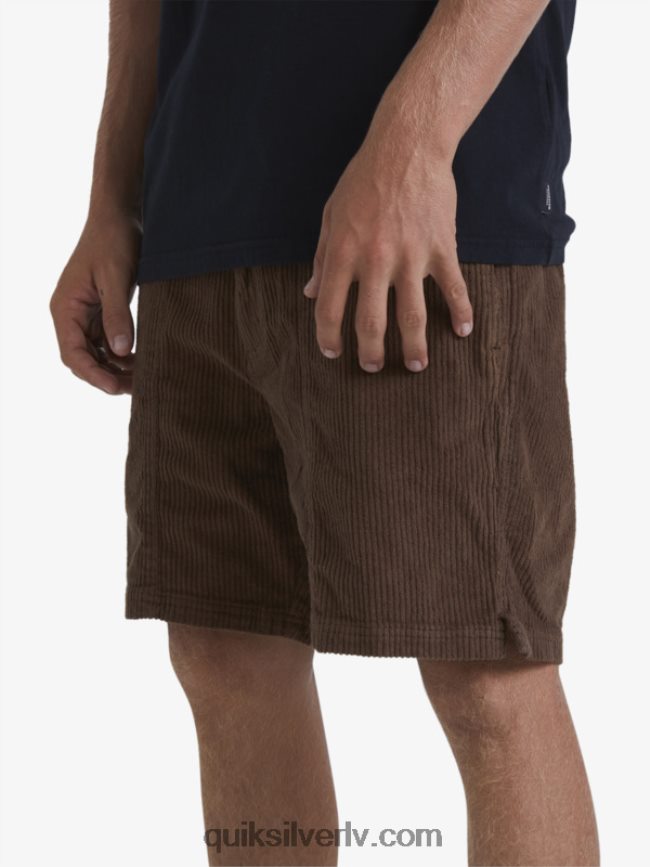 vīriešiem Quiksilver waterman cordy velveta šorti tumšā zeme 88064R875