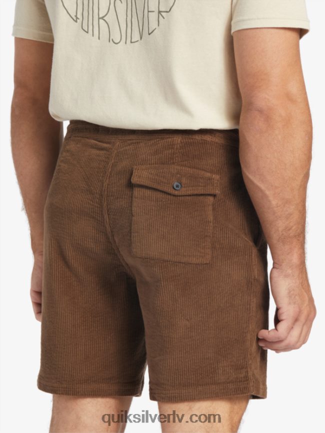 vīriešiem Quiksilver waterman cordy velveta šorti tumšā zeme 88064R875