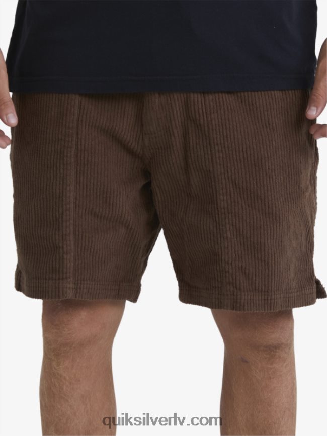 vīriešiem Quiksilver waterman cordy velveta šorti tumšā zeme 88064R875