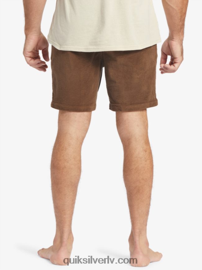 vīriešiem Quiksilver waterman cordy velveta šorti tumšā zeme 88064R875