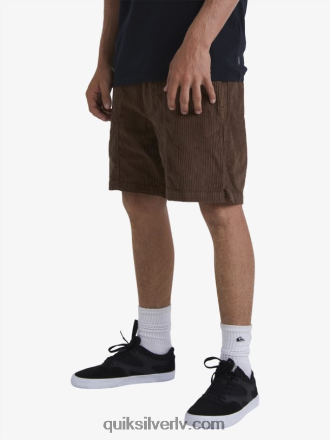 vīriešiem Quiksilver waterman cordy velveta šorti tumšā zeme 88064R875