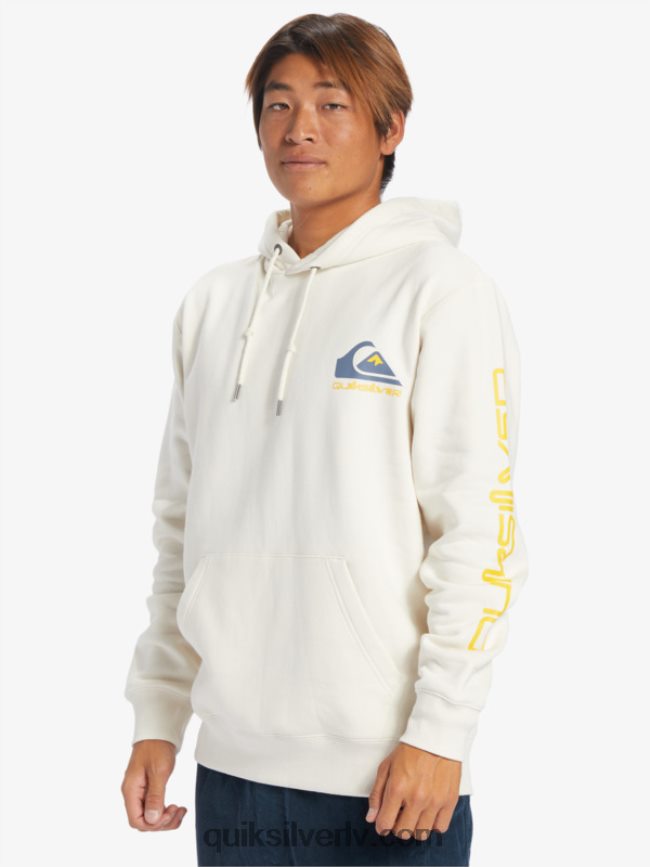 vīriešiem Quiksilver omni logo kapuci bērzs 88064R642