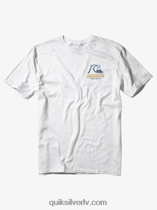 vīriešiem Quiksilver arts in palms t-krekls antīki balts 88064R1100