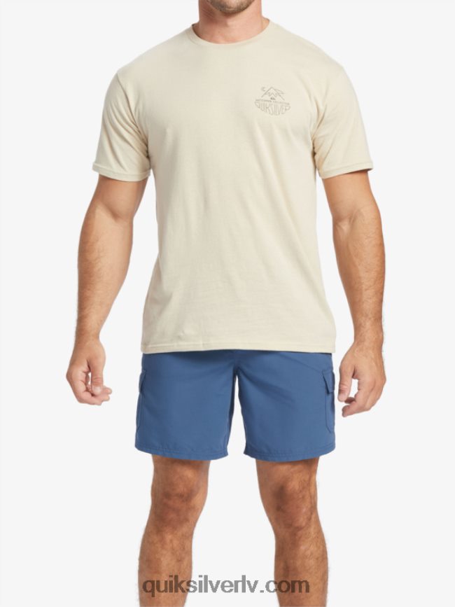 vīriešiem Quiksilver ūdensvīra brīvdabas t-krekls Brūnie rīsi 88064R57