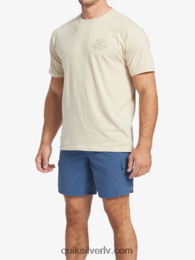 vīriešiem Quiksilver ūdensvīra brīvdabas t-krekls Brūnie rīsi 88064R57