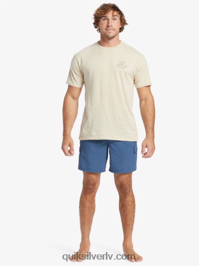 vīriešiem Quiksilver ūdensvīra brīvdabas t-krekls Brūnie rīsi 88064R57