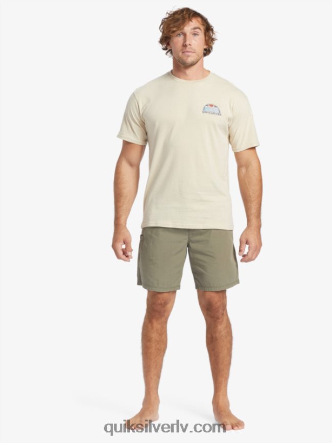 vīriešiem Quiksilver ūdensvīra komplekta skata t-krekls Brūnie rīsi 88064R38