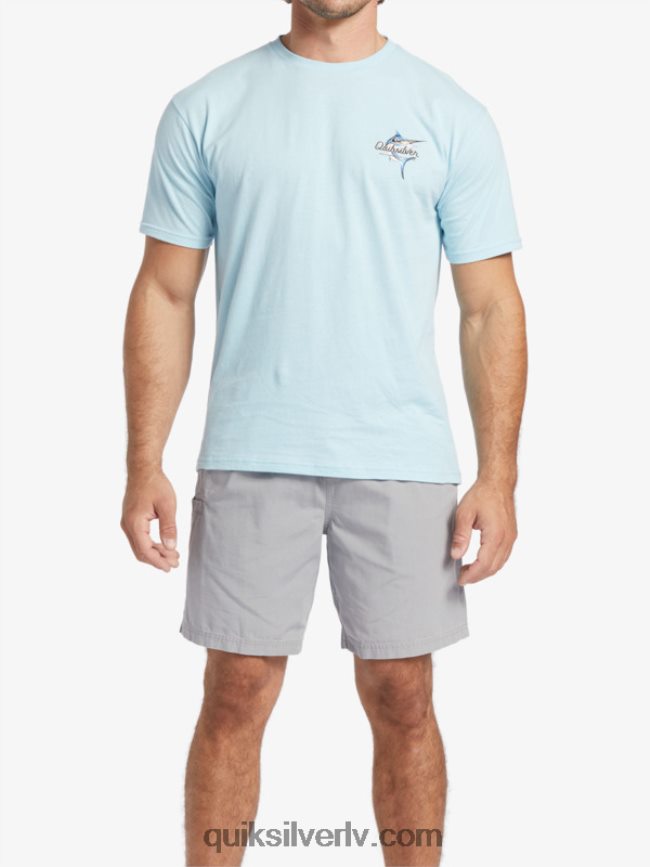 vīriešiem Quiksilver ūdensvīra skaistuma jūrā t-krekls ūdens 88064R51