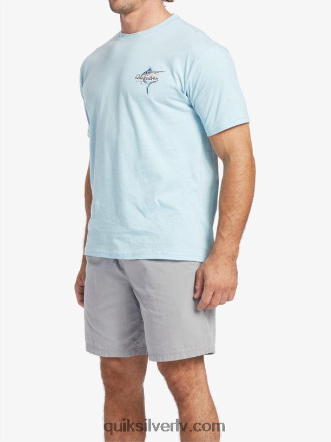 vīriešiem Quiksilver ūdensvīra skaistuma jūrā t-krekls ūdens 88064R51