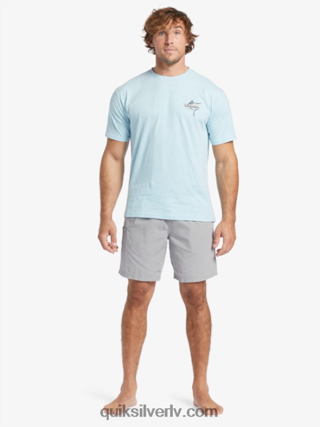 vīriešiem Quiksilver ūdensvīra skaistuma jūrā t-krekls ūdens 88064R51