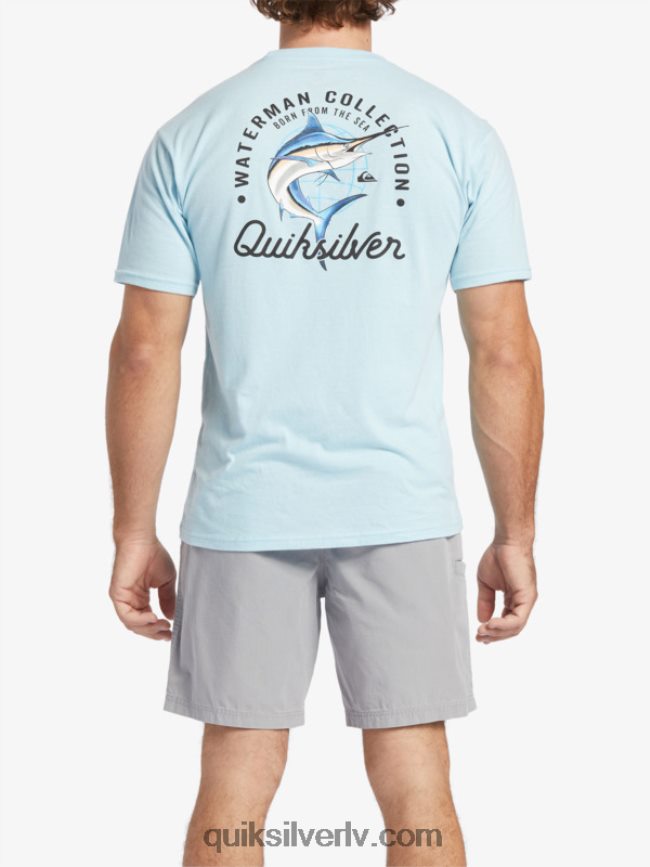 vīriešiem Quiksilver ūdensvīra skaistuma jūrā t-krekls ūdens 88064R51
