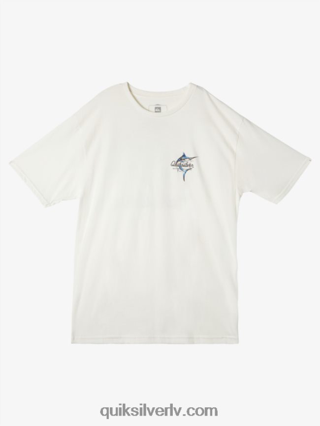 vīriešiem Quiksilver ūdensvīra skaistuma jūrā t-krekls sniegbalts 88064R50