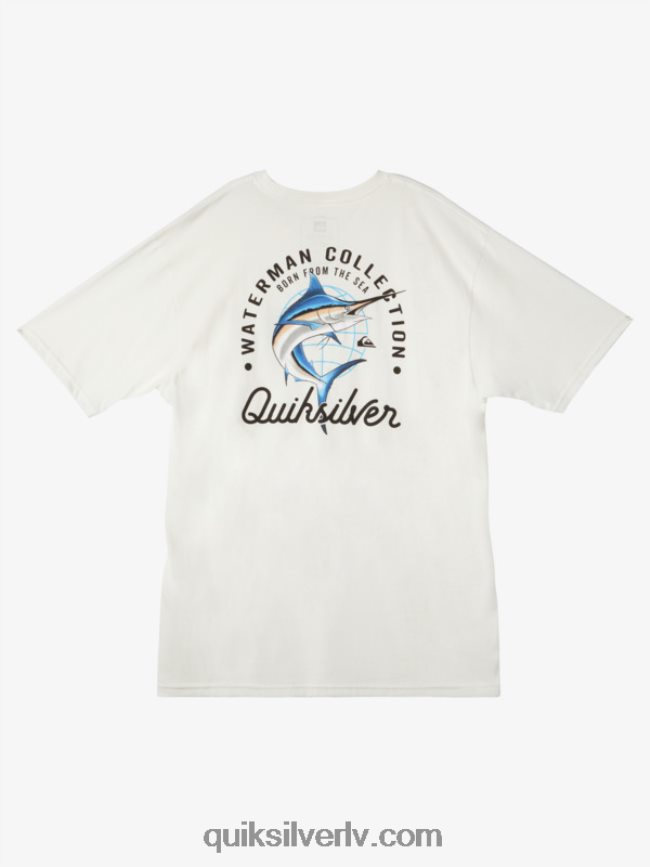 vīriešiem Quiksilver ūdensvīra skaistuma jūrā t-krekls sniegbalts 88064R50