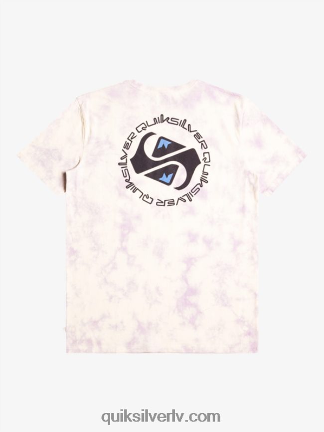 vīriešiem Quiksilver omni circle t-krekls bērzs 88064R1071