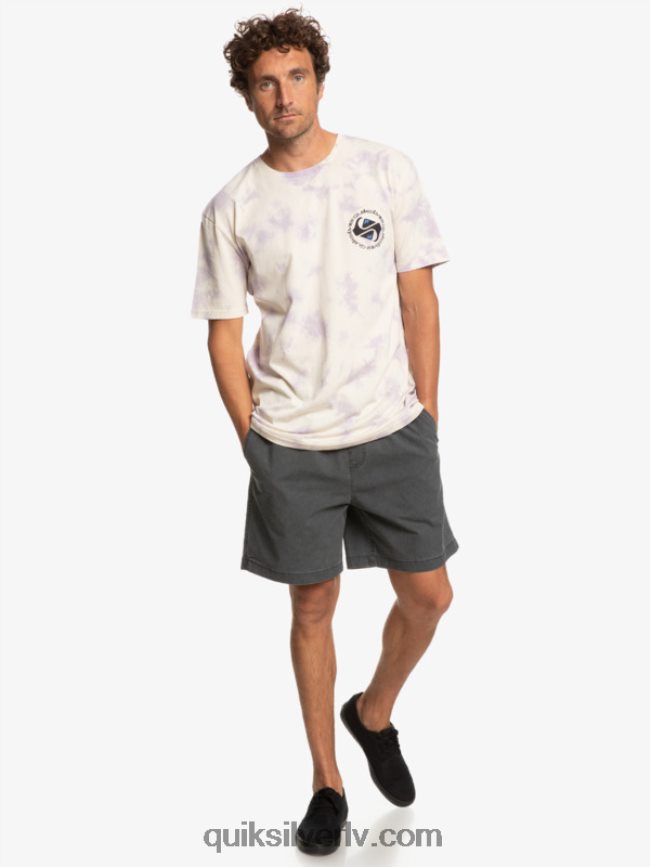 vīriešiem Quiksilver omni circle t-krekls bērzs 88064R1071